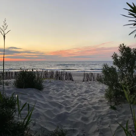 Fregata 16 Jastrzębia Góra